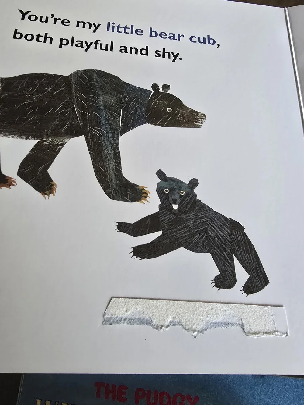 (6) Baby Books